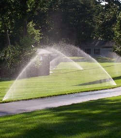 lawn sprinklers